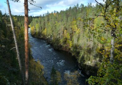 Nautiskelua syyslomalla – pieni karhunkierros